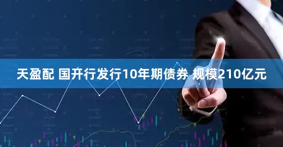 天盈配 国开行发行10年期债券 规模210亿元
