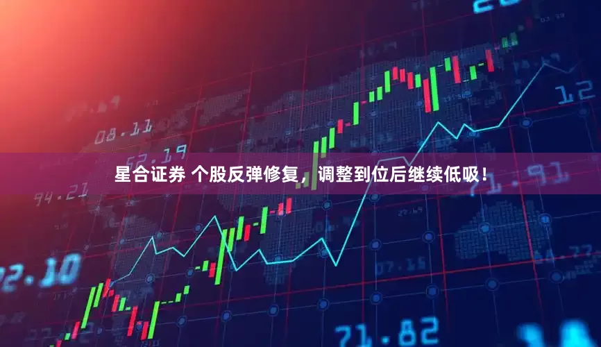 星合证券 个股反弹修复，调整到位后继续低吸！