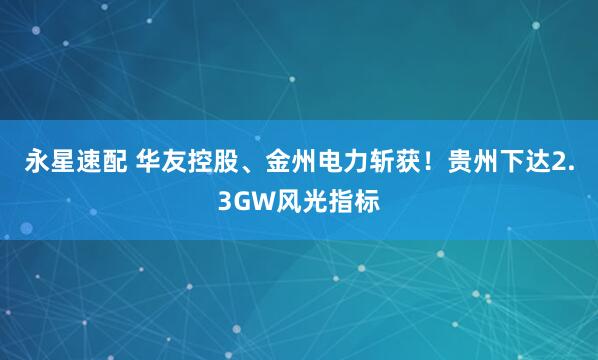 永星速配 华友控股、金州电力斩获！贵州下达2.3GW风光指标