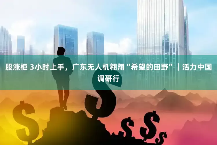 股涨柜 3小时上手，广东无人机翱翔“希望的田野”｜活力中国调研行