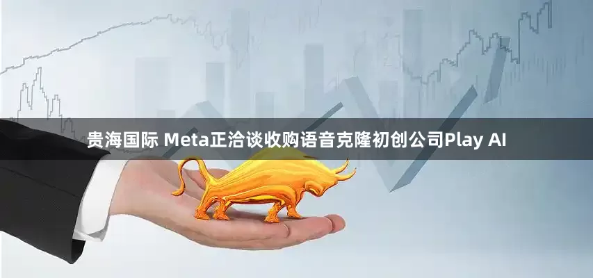 贵海国际 Meta正洽谈收购语音克隆初创公司Play AI