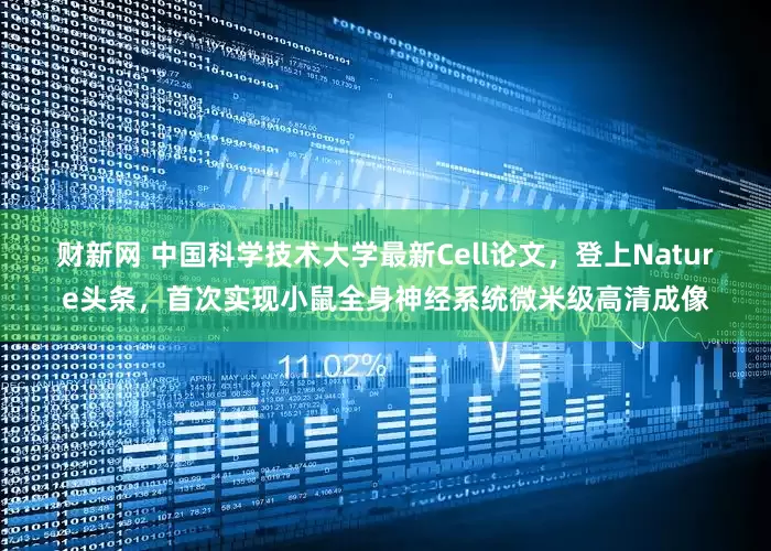财新网 中国科学技术大学最新Cell论文，登上Nature头条，首次实现小鼠全身神经系统微米级高清成像