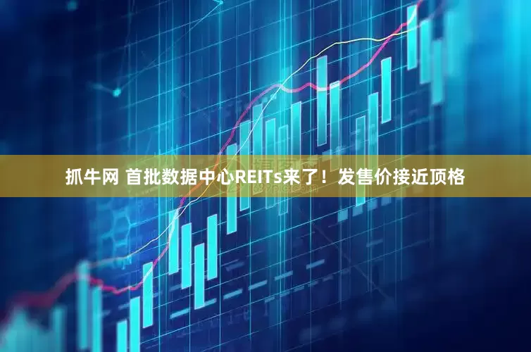 抓牛网 首批数据中心REITs来了！发售价接近顶格
