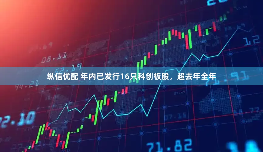 纵信优配 年内已发行16只科创板股，超去年全年